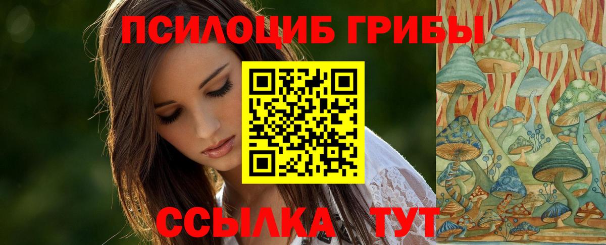 Галлюциногенные грибы Psilocybe  Вход с VPN  Туапсе 